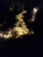 Water Fall ,outdoor lighting , low volt, landscape lighting, vista, pro trade, Kichler, Hadco, light
