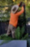 Hand Pruning Lawn Care