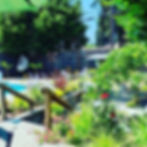 Eugene landscape