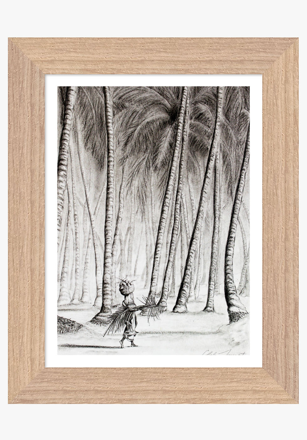 Thumbnail: KANGAS & COCONUTS