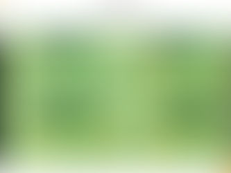 Dia Mundial da Justiça Social - 20 de fevereiro