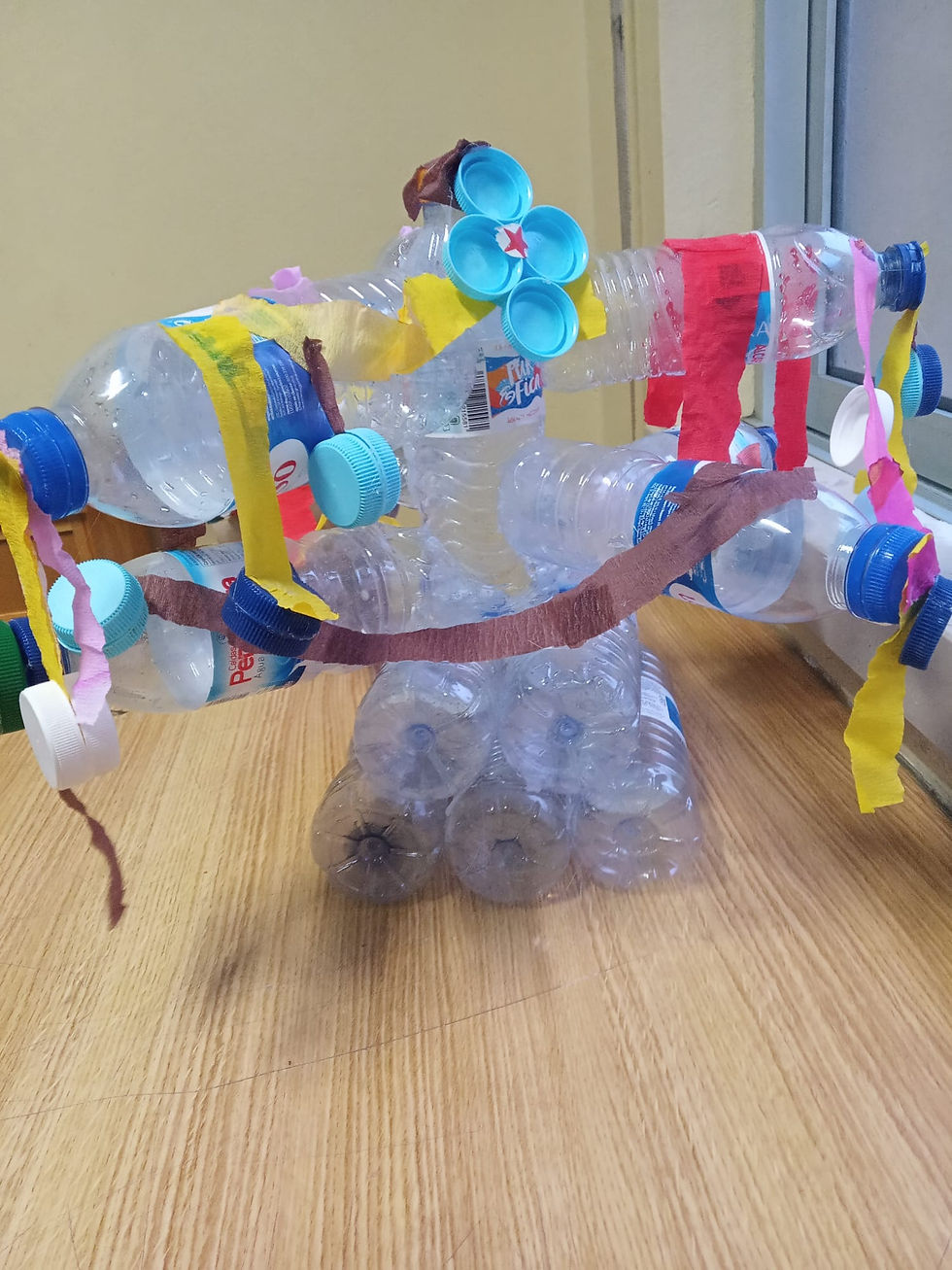 Reutilização de resíduos sólidos domésticos para atividades pedagógicas