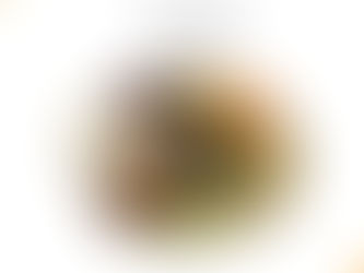 Dia Mundial das Leguminosas - 10 de fevereiro