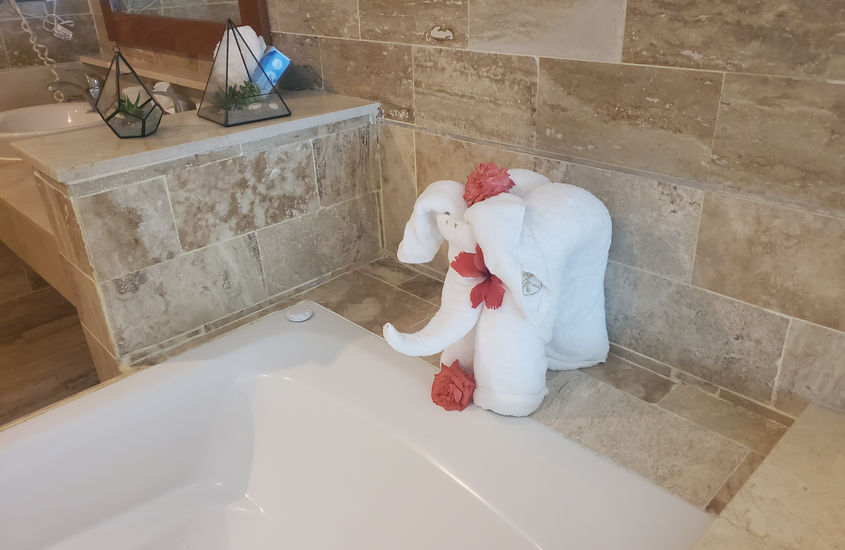 Cofresi Palm Beach Studio, bathroom decor