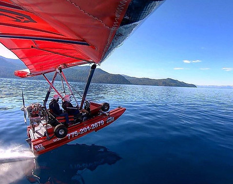Cygnet10.jpg