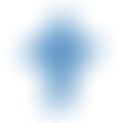 What is the LCMS?