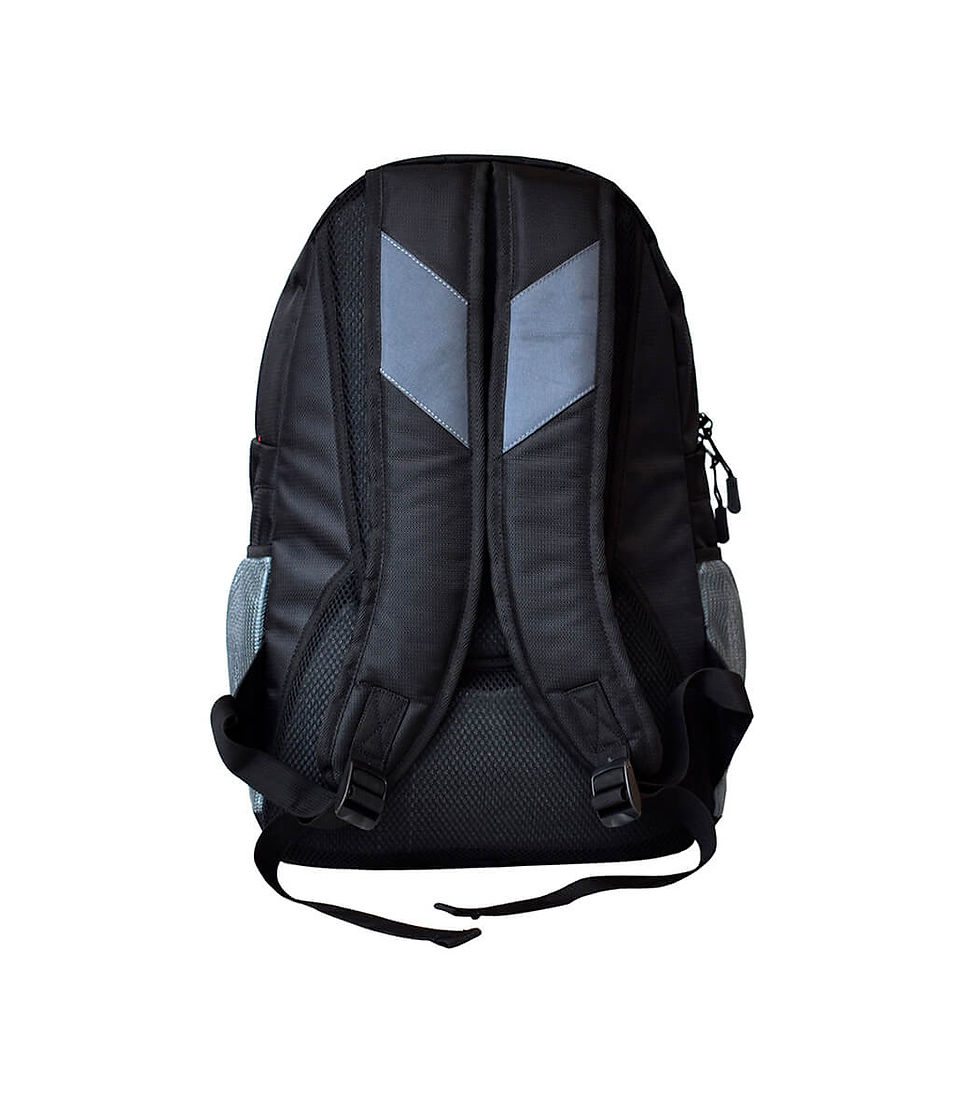 Thumbnail: Swiss Military 25 ltr Laptop Backpack CI-LBP-40
