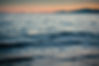 FRED_PHND_extras-3.jpg