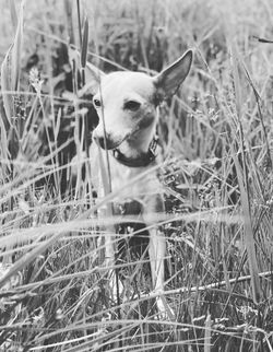 e9b5a72a-928b-4412-af22-9562c94c950b