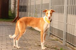 243709147_4497386196964287_1373070039305280145_n