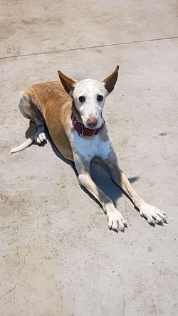 0d8b9330-2bca-4c0b-92be-93cf723c1144