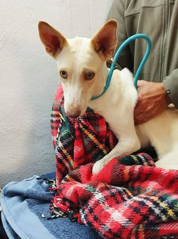 316298850_5760027267366834_8674870314238792471_n