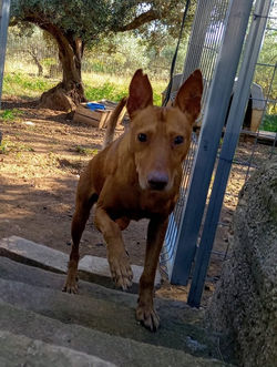 258772395_4641374119232160_924627962722637394_n