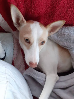 316549140_5765176446851916_8659398783344081252_n