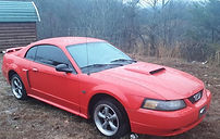 mustang_edited.jpg