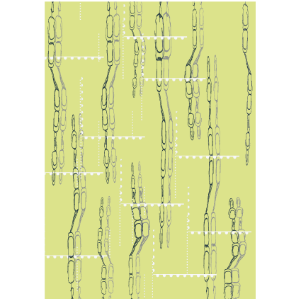 Gems on the Beach I - Greetings Card, Lime