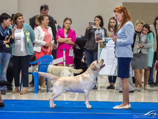 «Семиречье-1» (CACIB)