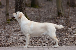 AN Avantika for BonViton