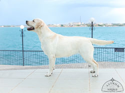 West Sib Story Arica - 13 month