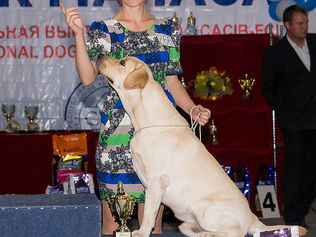 "Кубок Манаса - 2013"  CACIB