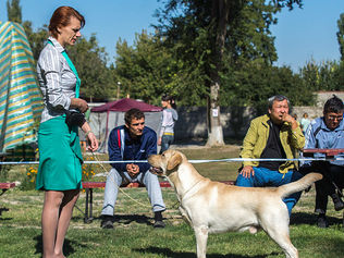 "Осенний Блюз"  САС