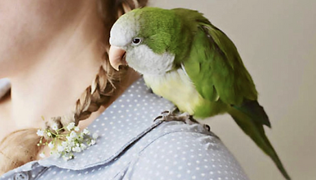 Screenshot 2025-08-02 at 20.52.24.png