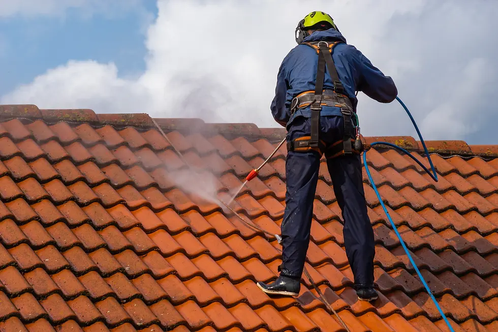pros-cons-professional-roof-cleaning.webp