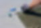 Execution phase.jpg