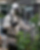 imgi_11_about-us-image-2.jpg