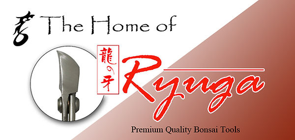 The Home of Ryuga.jpg