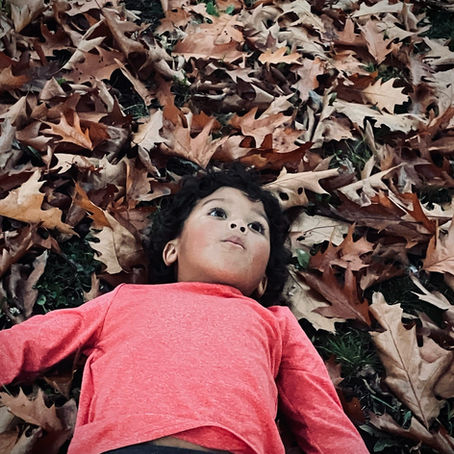 Fall Wellness: Functional Psychiatry Tips to Beat the Sluggish Season