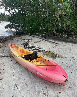 single kayak