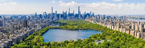 Central Park.webp