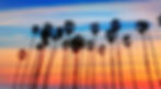 imgi_45_025b20_2805eb81f43c4c948149416bef474664~mv2.jpg