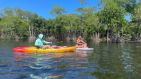 kayak and paddle board on the water