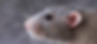 images.jpg