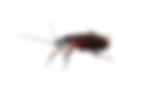 Screenshot 2026-07-01 222049.png