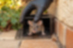 imgi_7_service-5.jpg