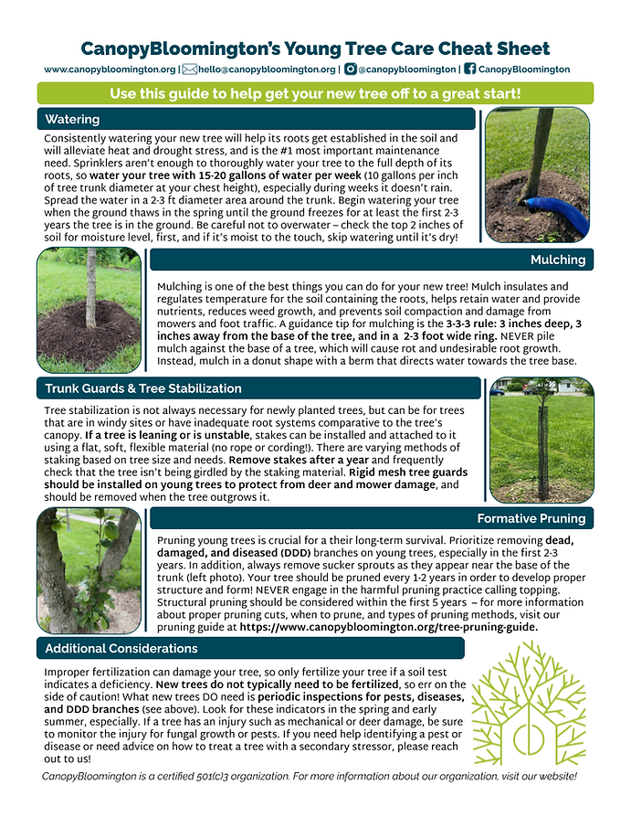 Tree Care Cheat Sheet.png