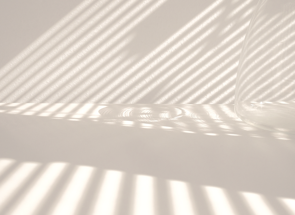 Light and Shadow _edited_edited_edited_edited_edited.png