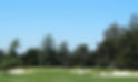 download (1).jpeg