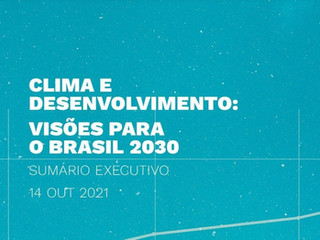 Clima e Desenvolvimento: Visões para o Brasil 2030.