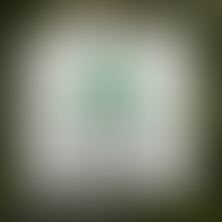 MANIFESTAÇÃO DEPARTAMENTO JURÍDICO Nº 01/2022