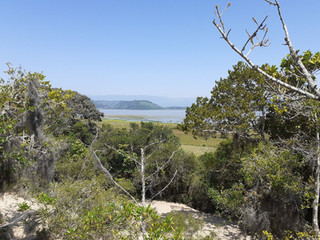 APA da Lagoa de Itapeva (Torres-RS).