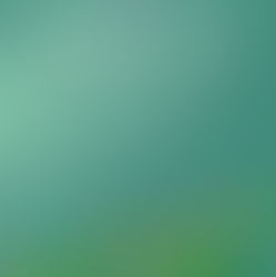 Seminário CTF/APP: o SISNAMA e o valor das informações ambientais