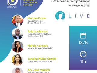 O Banco Interamericano de Desenvolvimento (BID), irá realizar o encontro virtual "Retomada verde