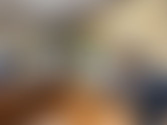 ANAMMA fortalece a agenda ambiental brasileira