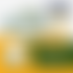 8ª Edição do Curso de Licenciamento Ambiental Municipal: Inscrições Abertas para Março de 2026                                    Atualizado com a Nova Lei 15.190/2025