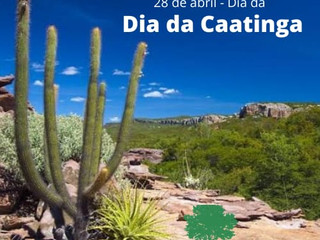 Dia da Caatinga.