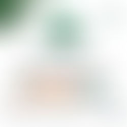 🌳 Conferência Livre Anamma Nacional & ANAMMA Mulheres & Mulheres pelo Clima e Biodiversidade.